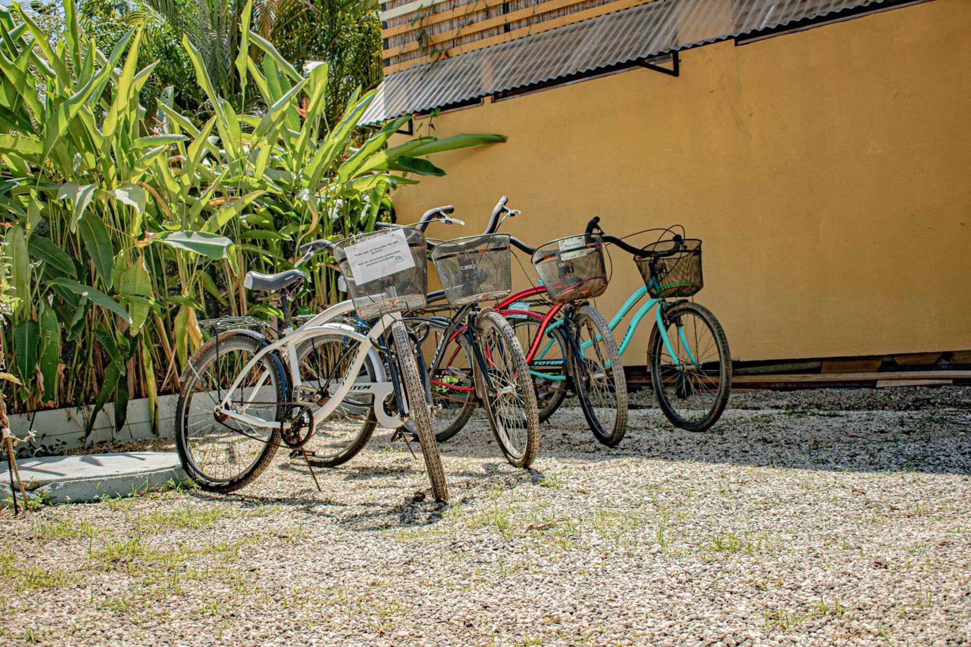 Habitat Surf Glamp Hotel Playa Santa Teresa  Exterior photo